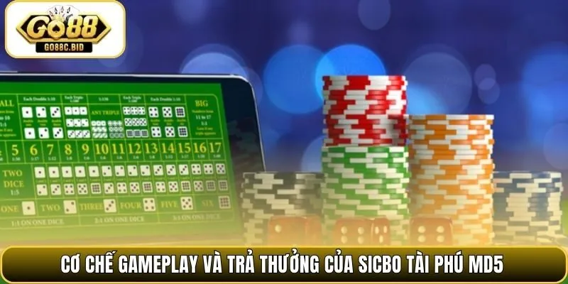 Cơ chế gameplay và trả thưởng của sicbo tài phú MD5