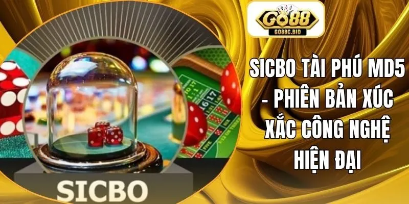Sicbo Tài Phú MD5 - Phiên Bản Xúc Xắc Công Nghệ Hiện Đại