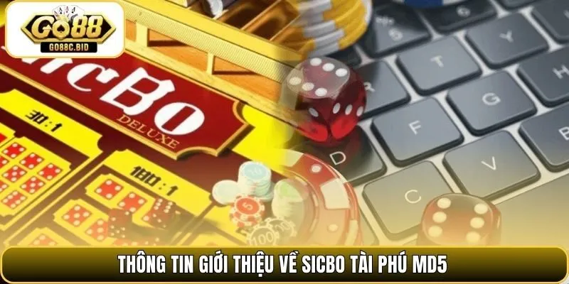 Thông tin giới thiệu về sicbo tài phú MD5